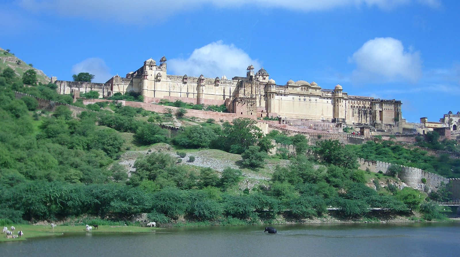 Best View Of Amer Fort Background