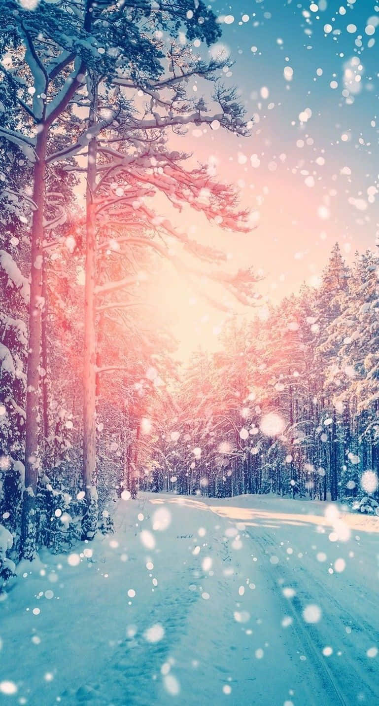 Best Winter Iphone Lock Screen Background