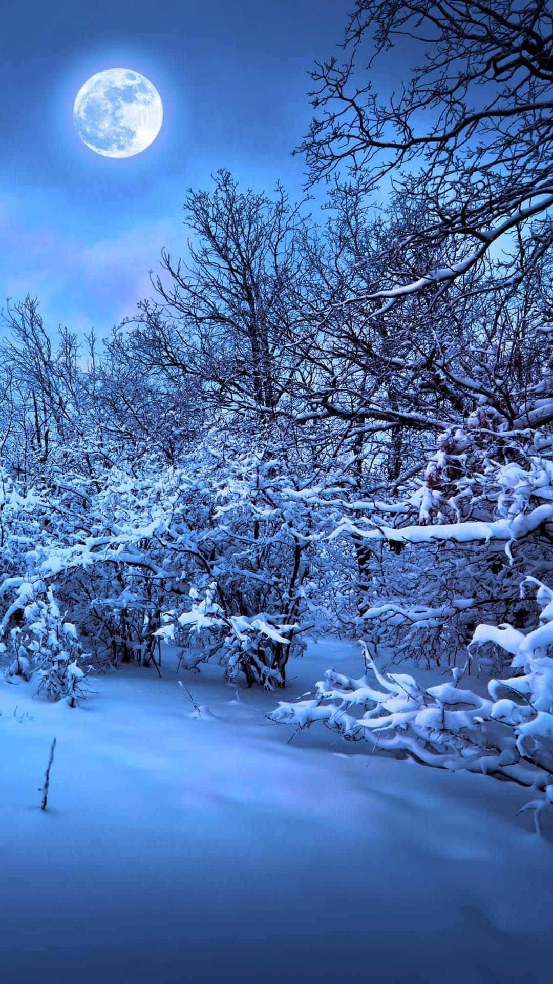 Best Winter Theme Photograph Background