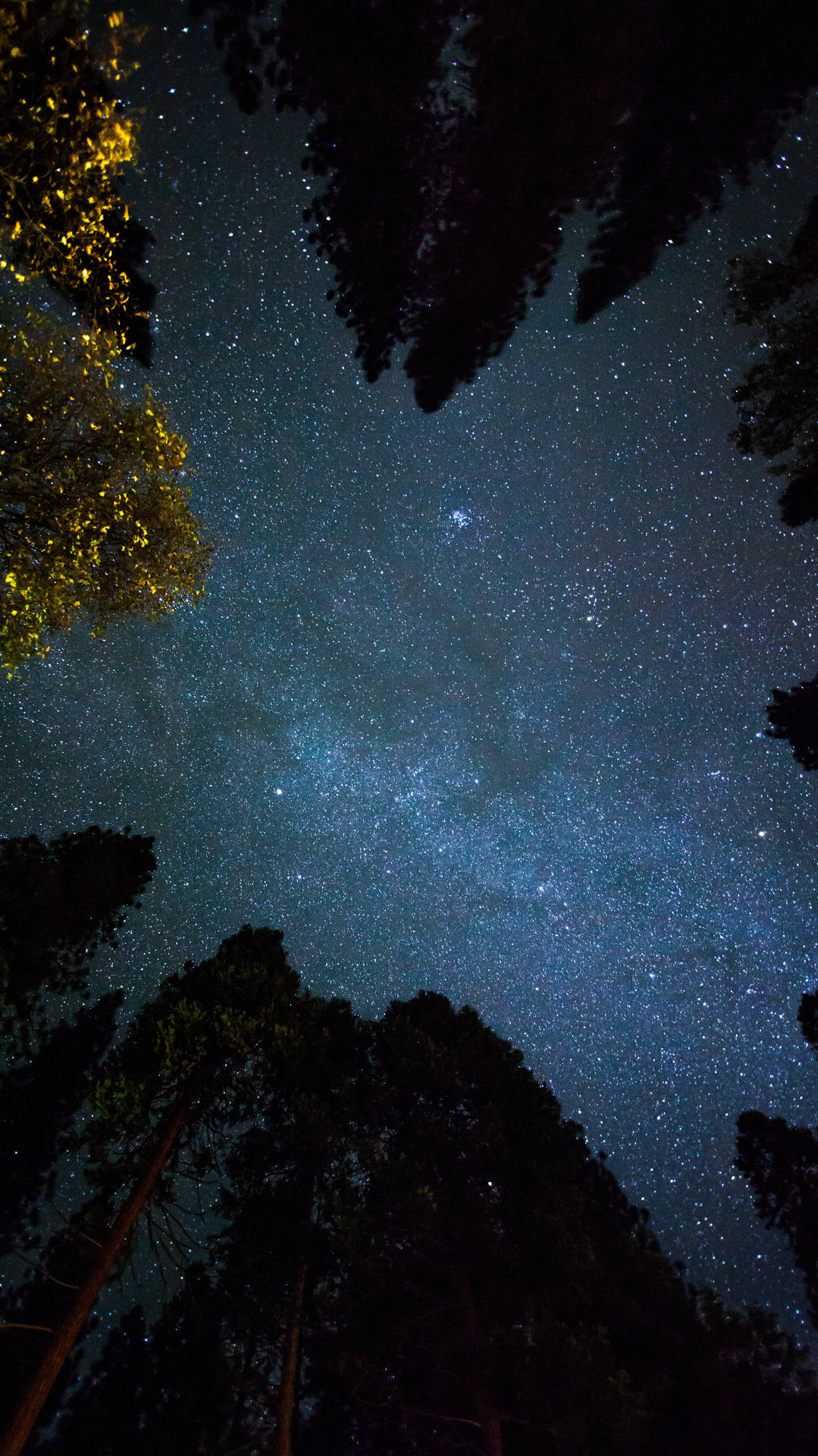 Between Trees Space 4k Phone Background