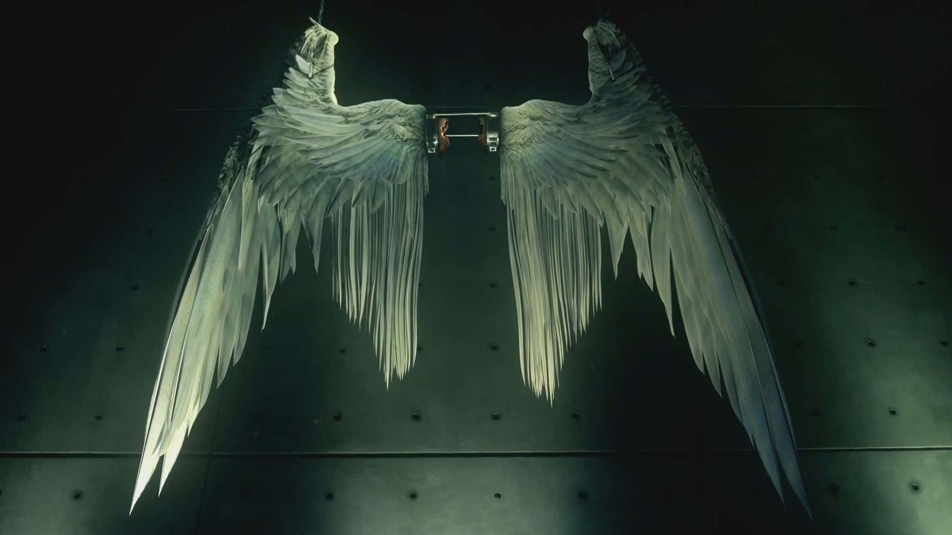 Beware The Beauty Of These Lucifer Wings Background