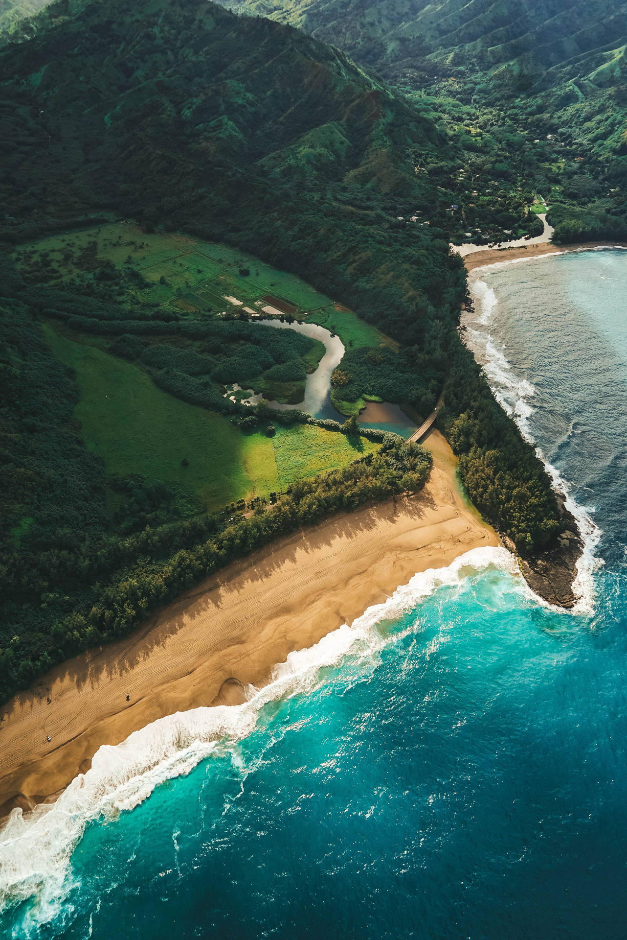 Beyond Lush Greenery Beach Wave Iphone Background