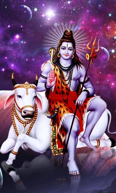 Bholenath Shiva On Cow 3d