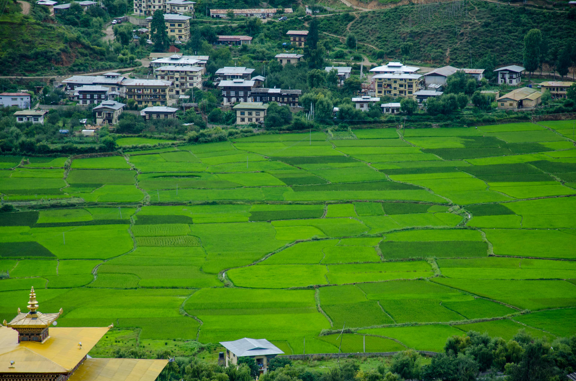 Bhutan Farmland View Background