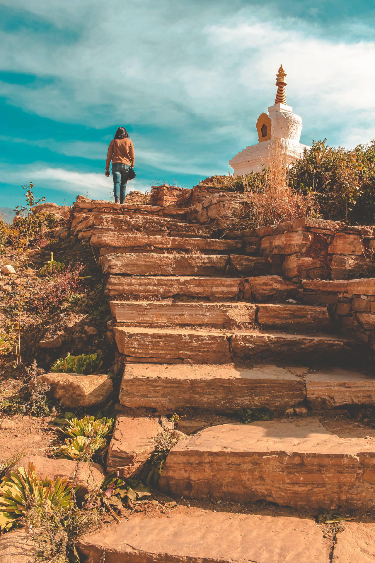 Bhutan Nature Trail Stupa Background