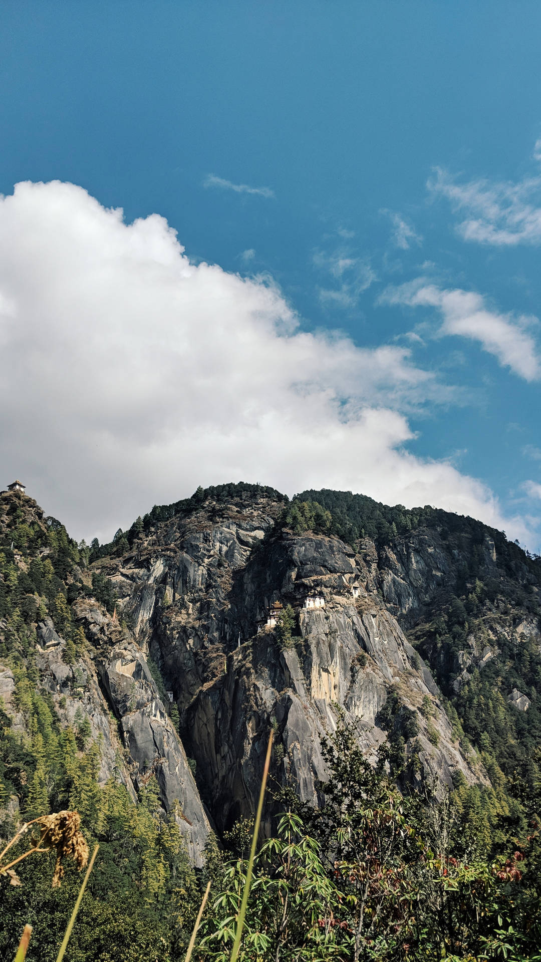 Bhutan Paro Valley Background