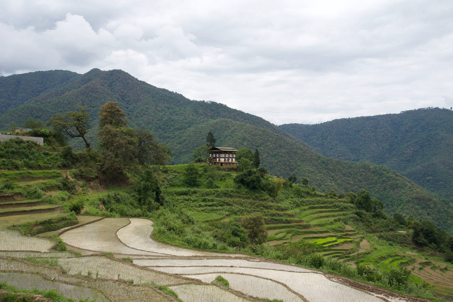 Bhutan Punakha Mountain