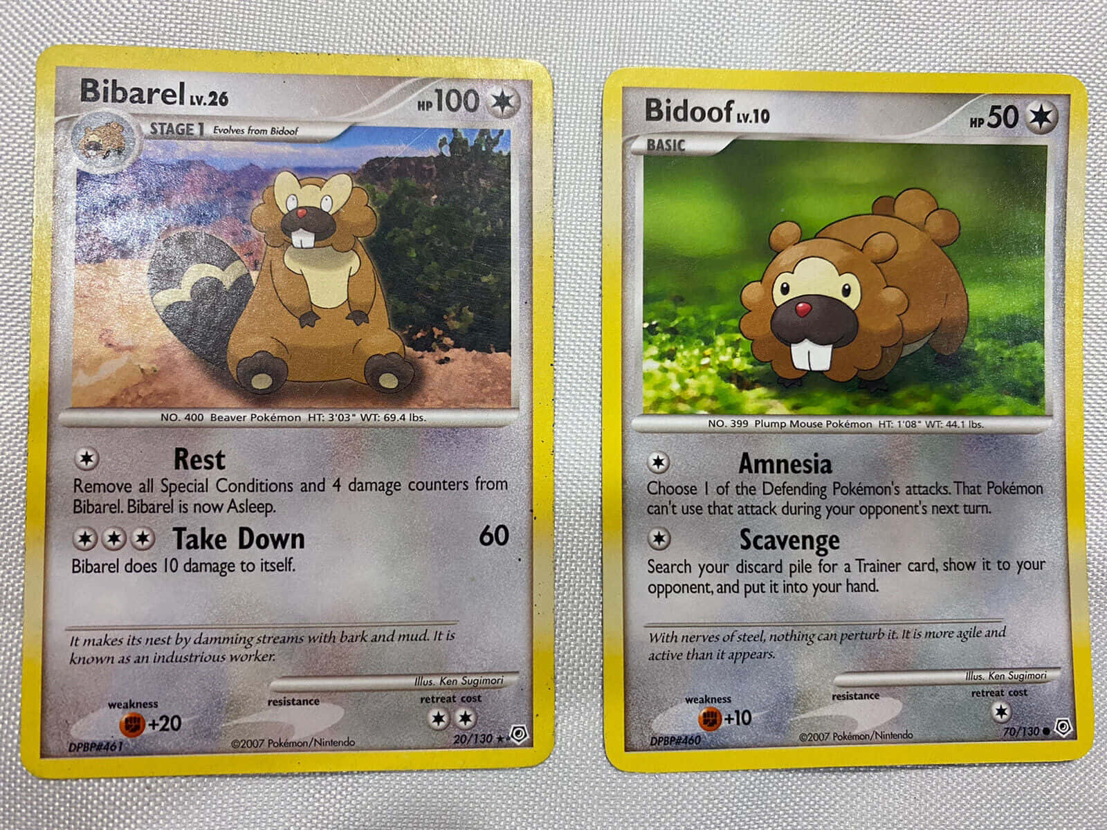 Bibarel And Bidoof Card