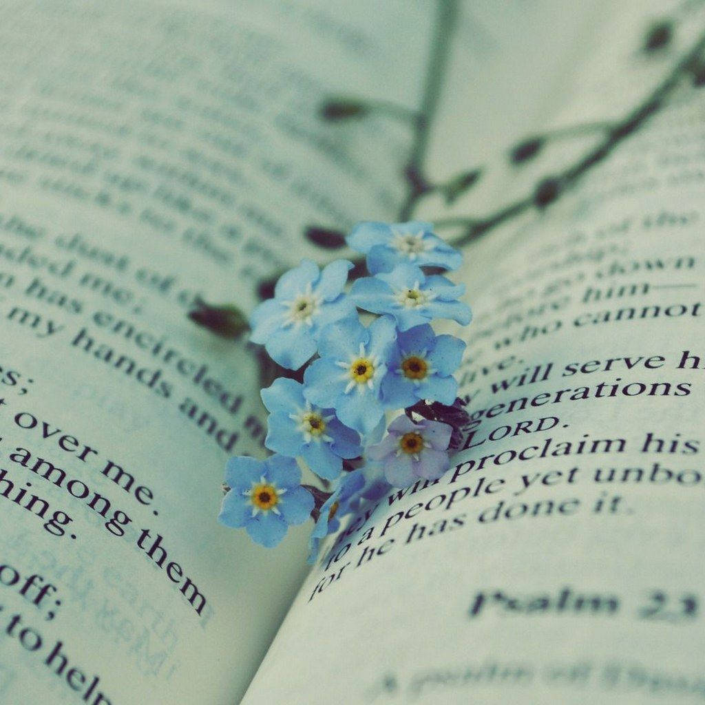 Bible And Forget Me Not Flower Background