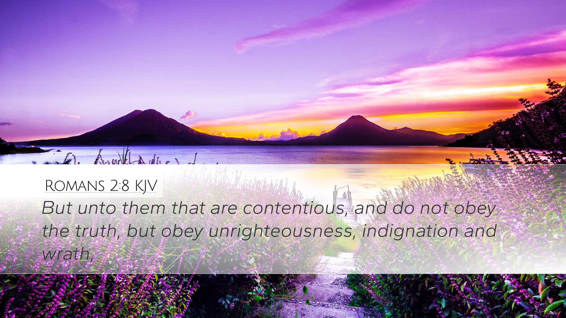 Bible Quote On Being Contentious Background