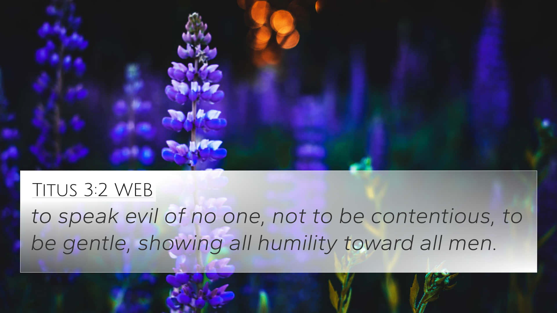 Bible Saying About Being Contentious Background