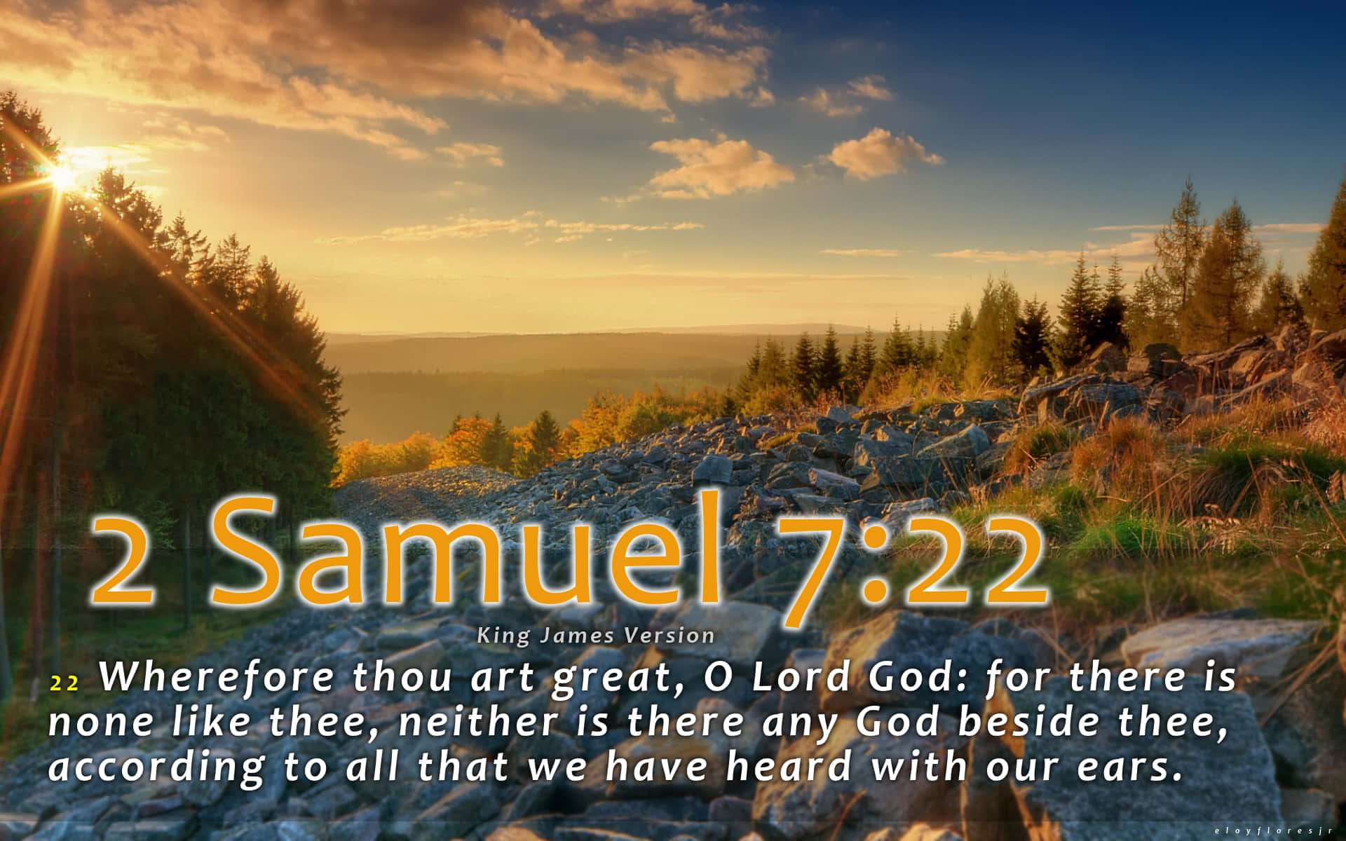 Bible Study: The King James Version Background