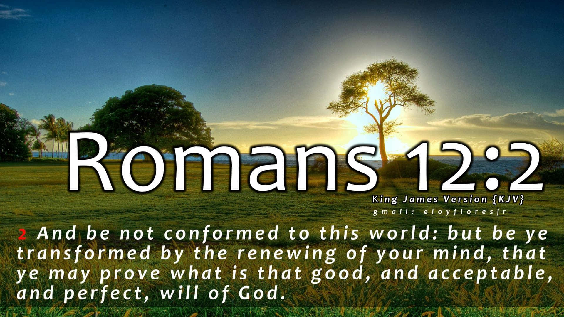 Bible — The King James Version Background