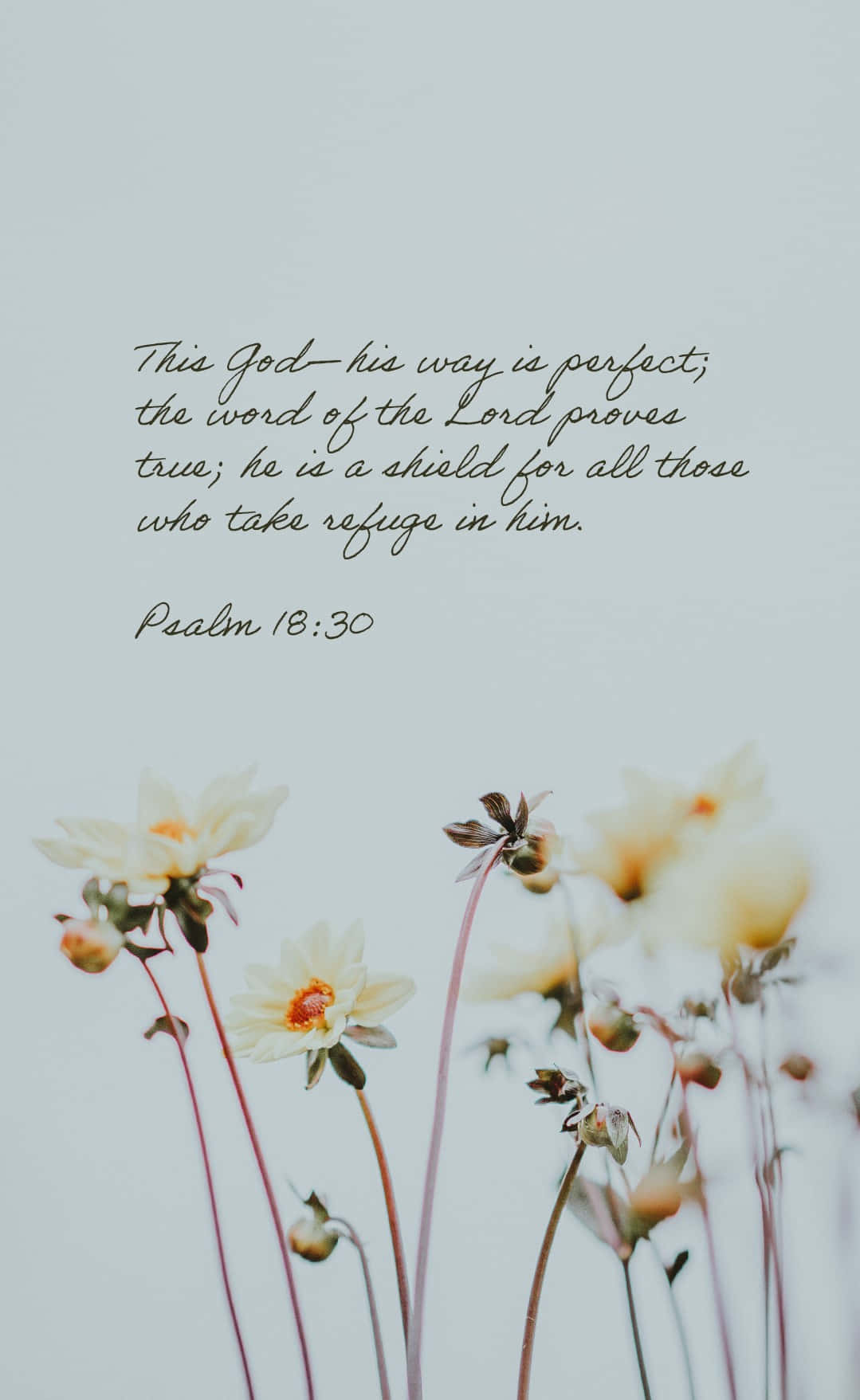 Bible Verse Phone Psalm 16 Background