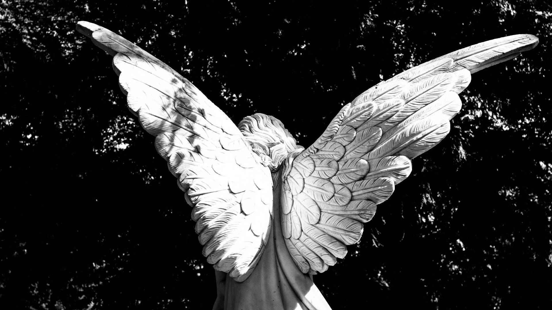 Biblical Angel Wings Background