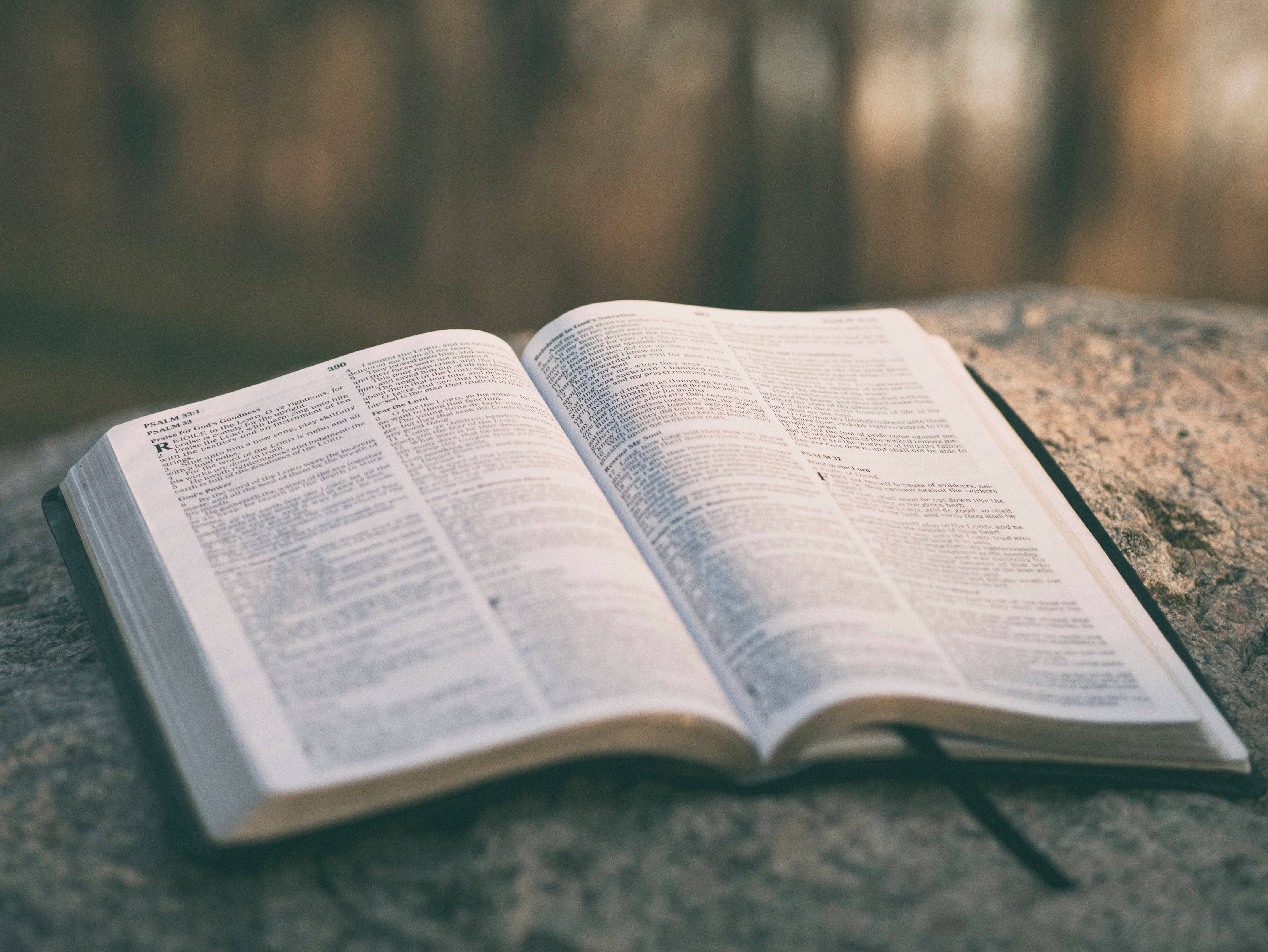 Biblical Bible On A Rock Background