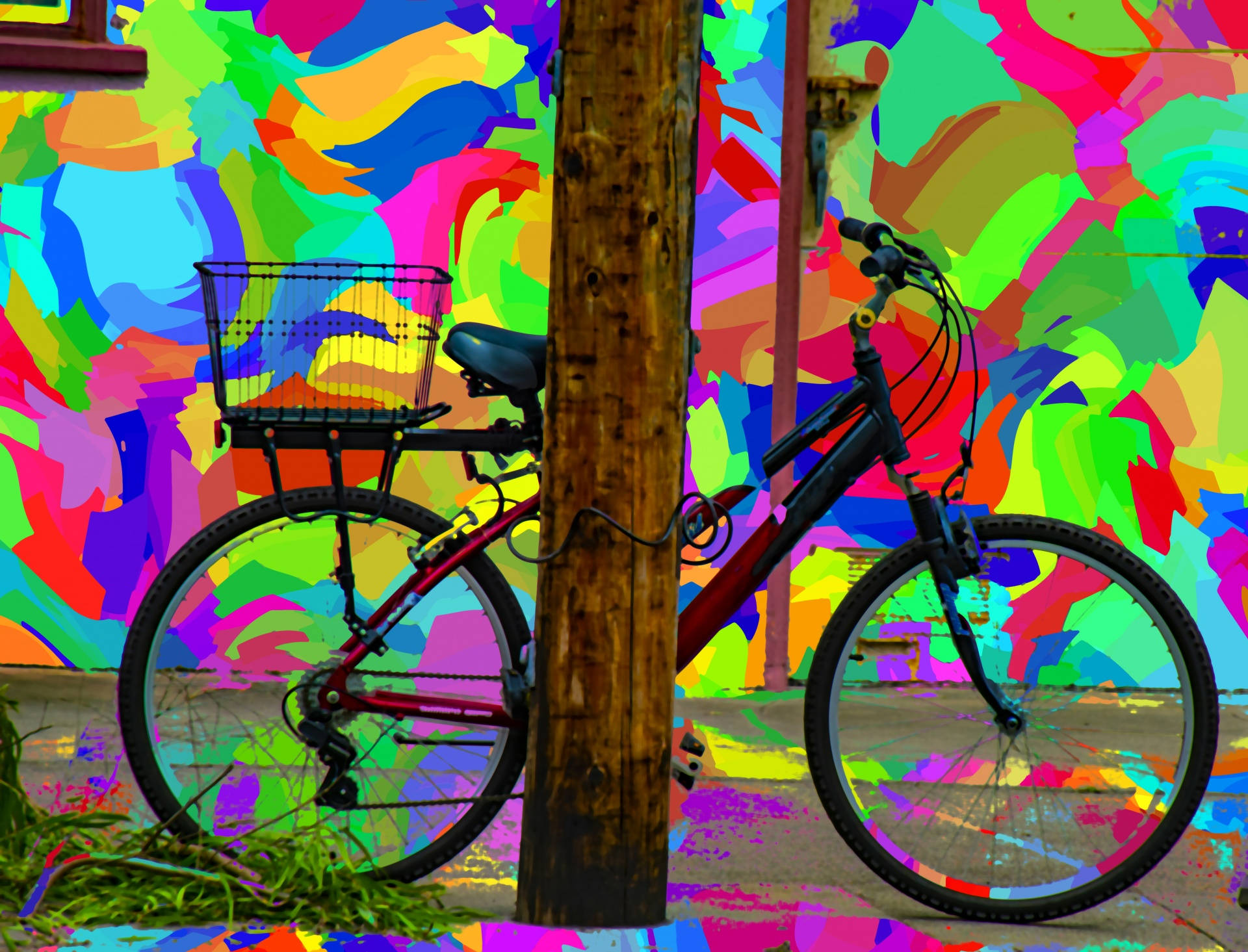 Bicycle Colorful Wall