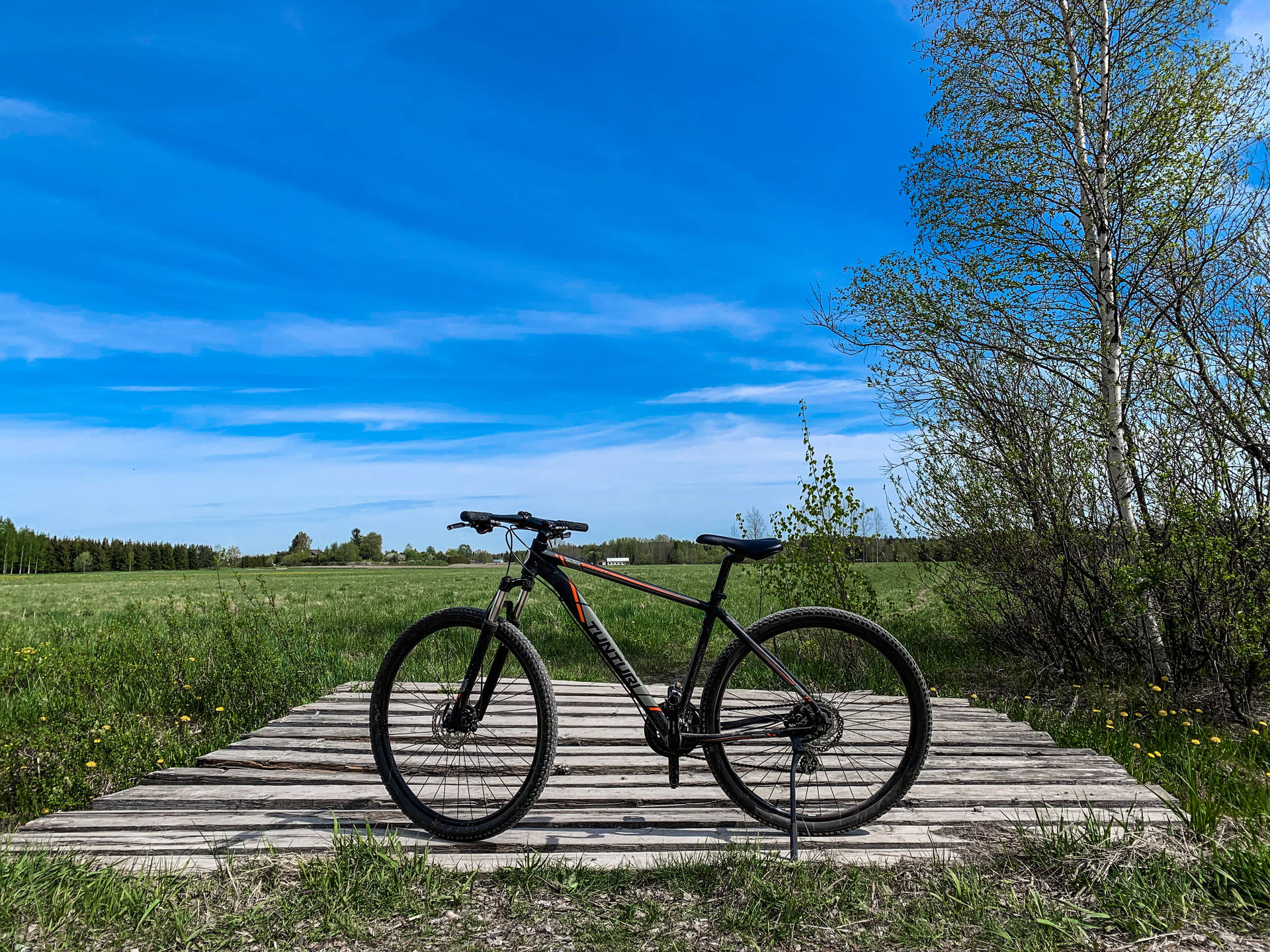 Bicycle In Nature Picture Background