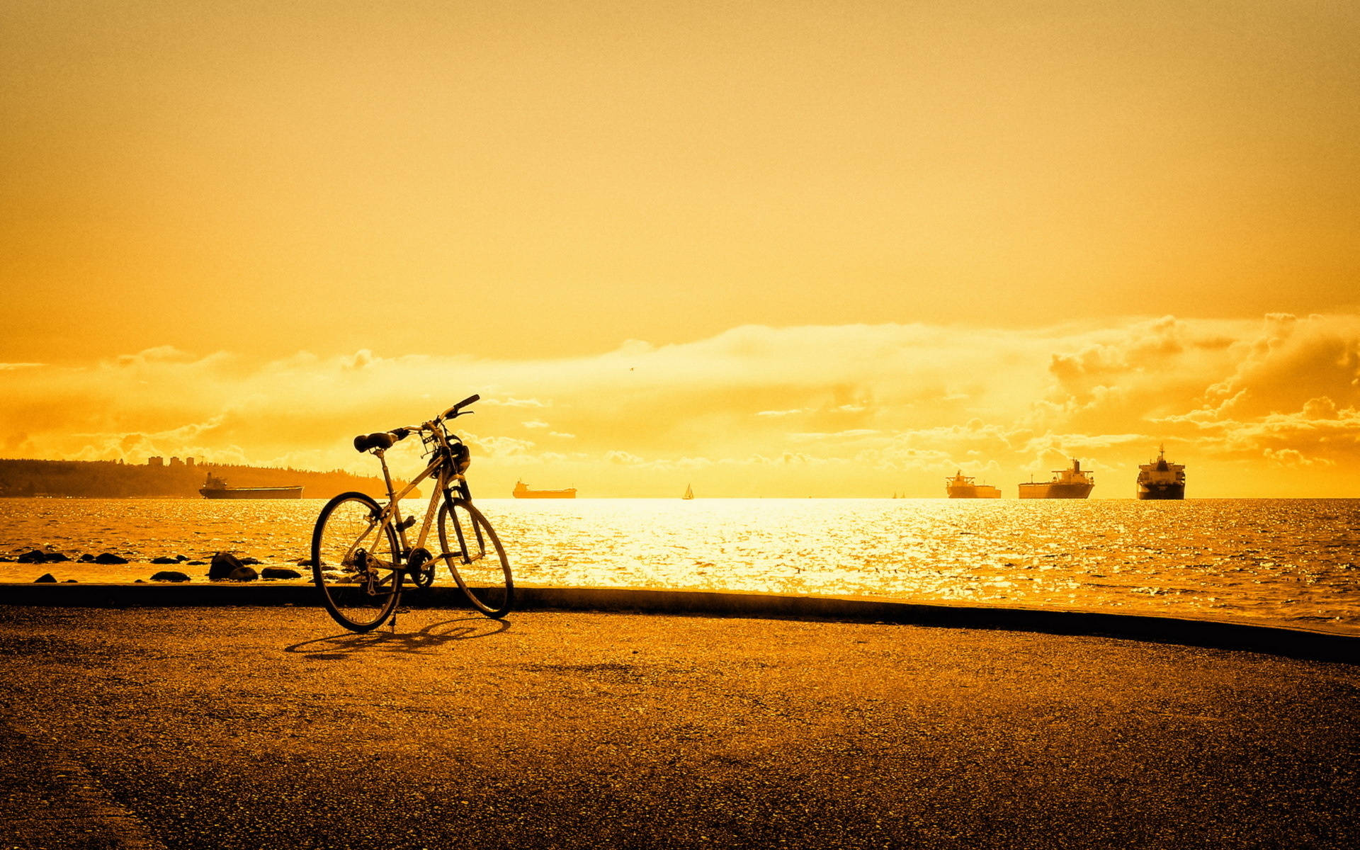 Bicycle On A Golden Seaside