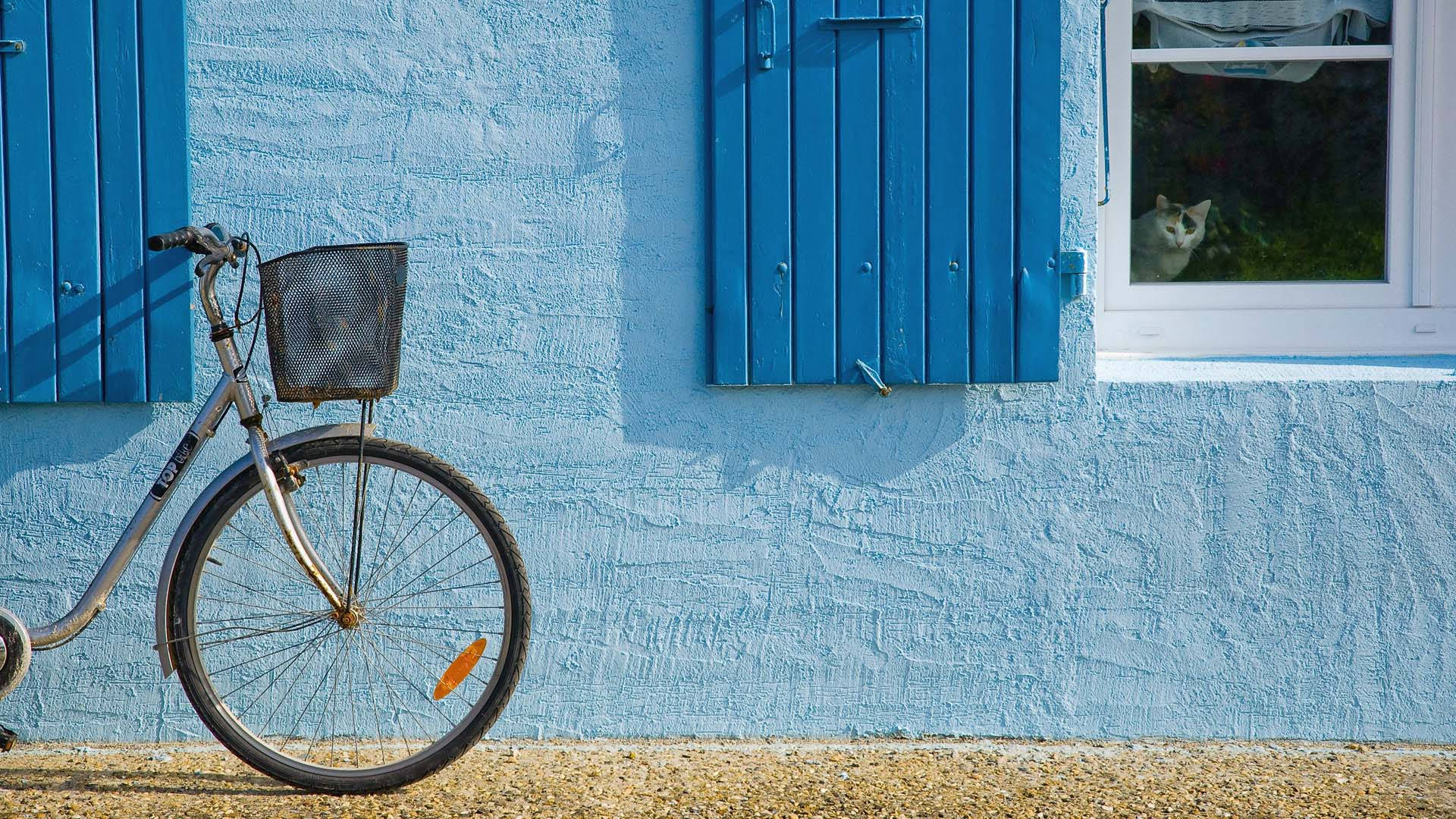 Bicycle On Blue Wall