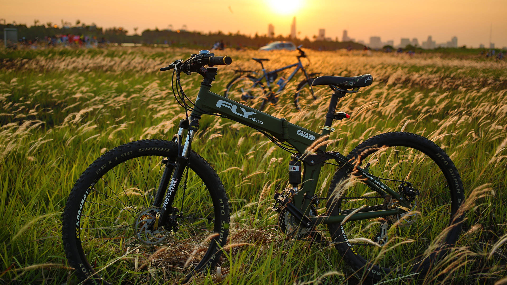 Bicycle On Meadow