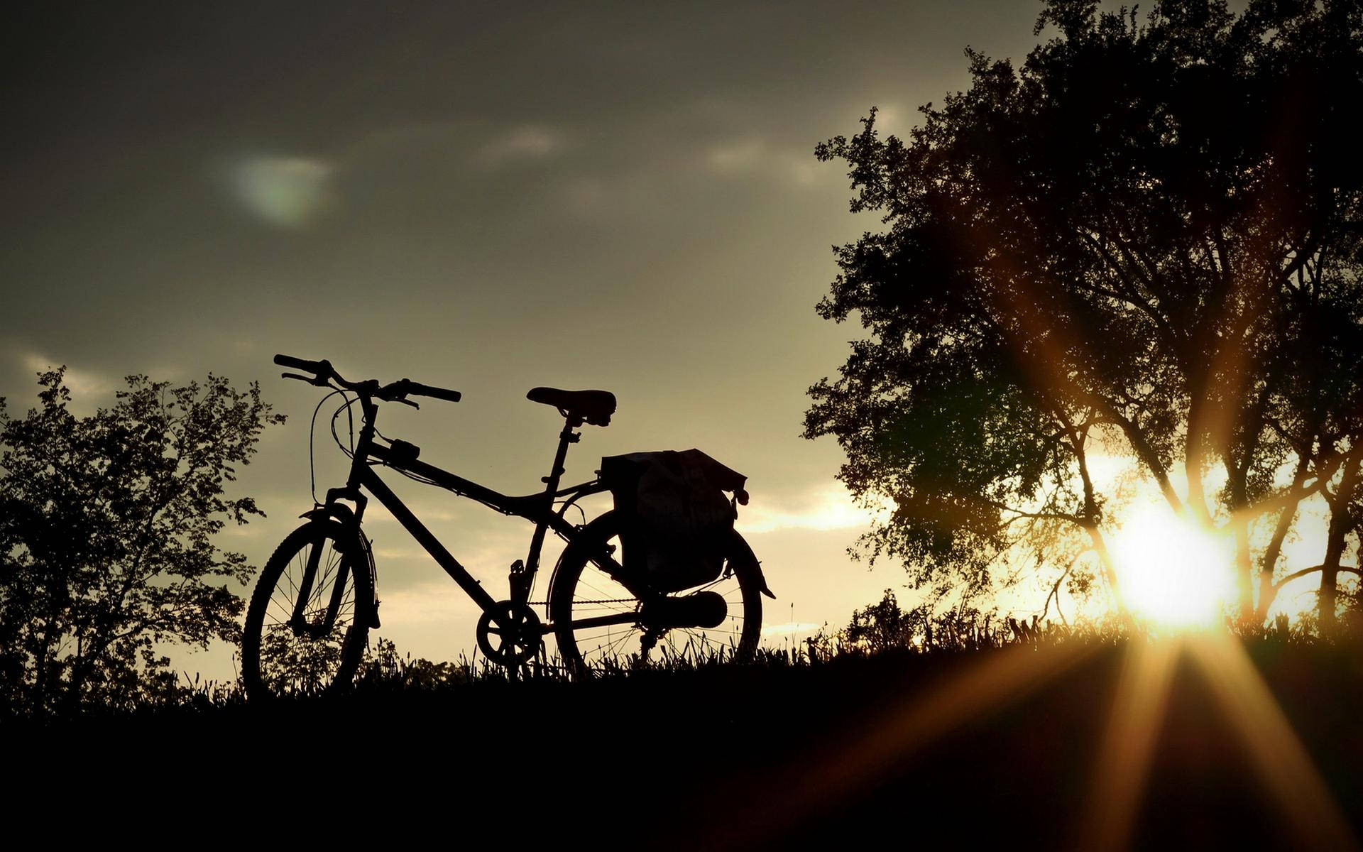 Bicycle Silhouette At Daybreak