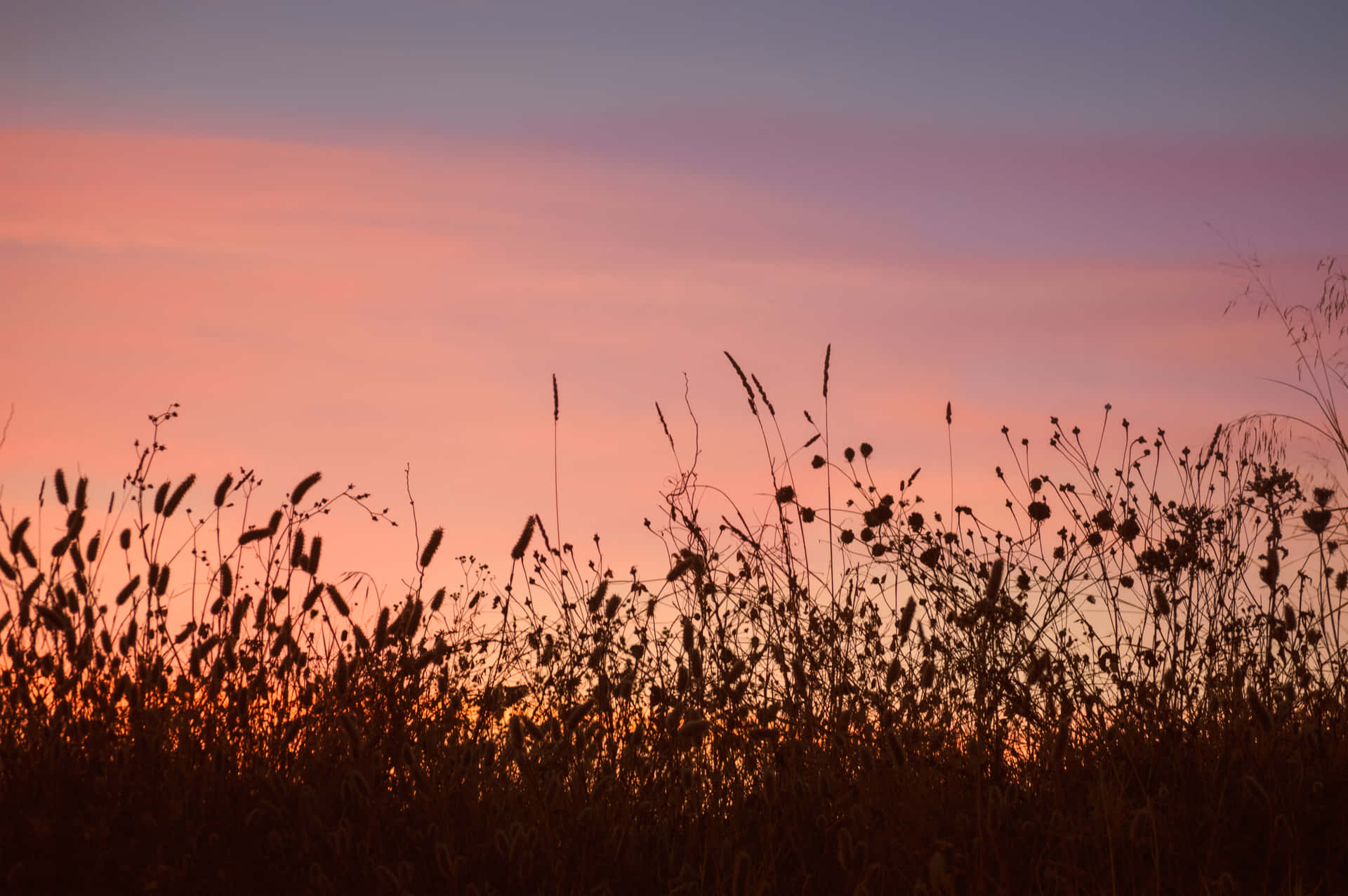 Bid Farewell To Summer With An Incredible Beach Sunset. Background