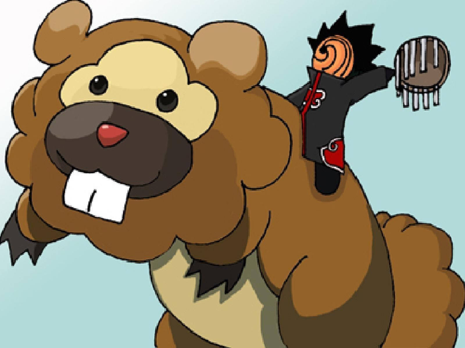 Bidoof And Tobi Background