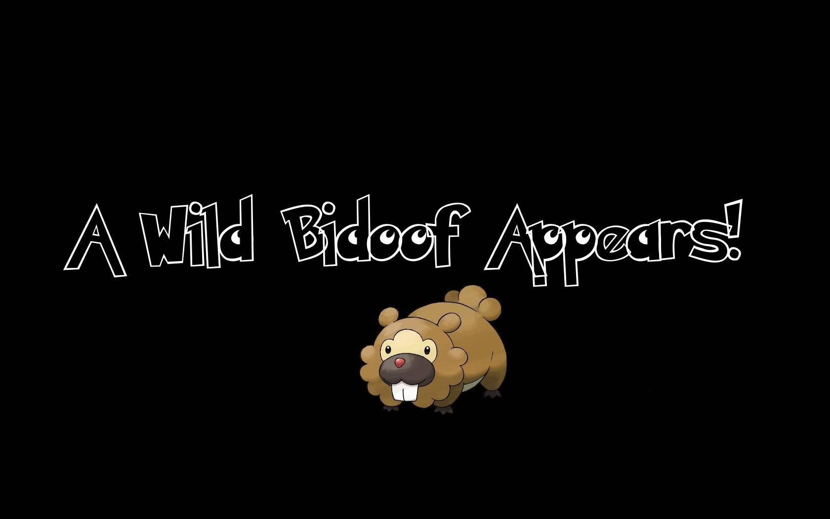 Bidoof Appears Background