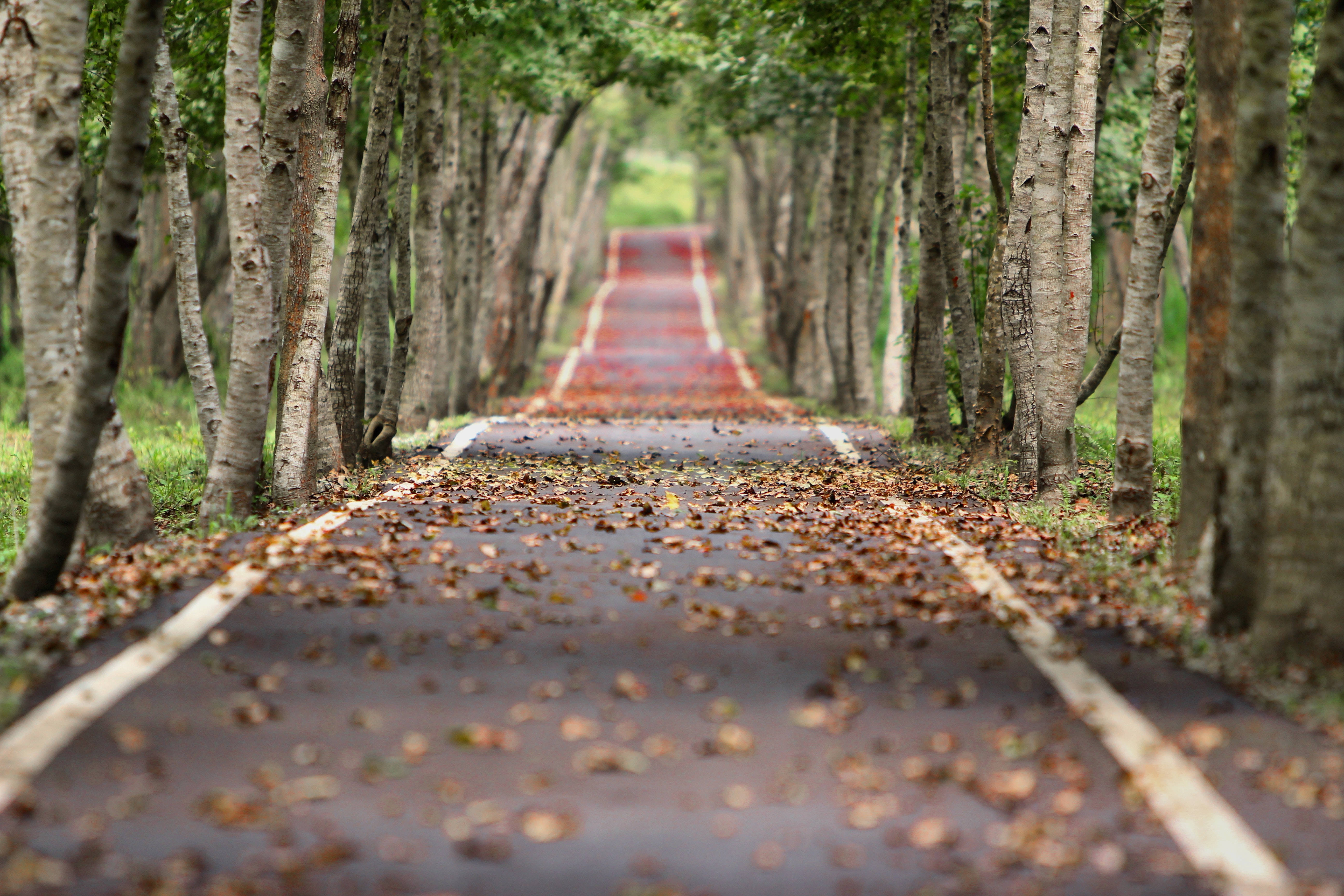 Big 3d Desktop Empty Road Background