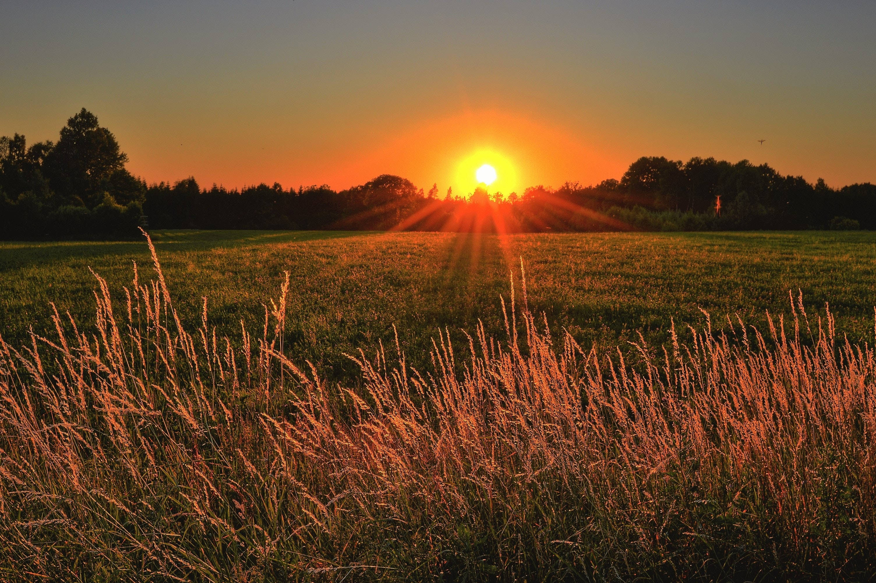 Big 3d Desktop Sunset Field Background