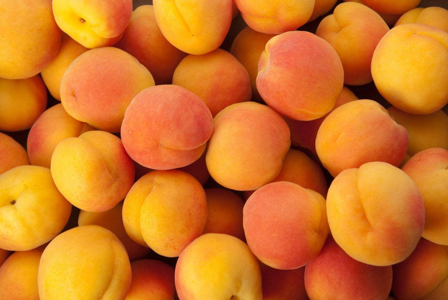 Big And Small Ripe Apricots Background