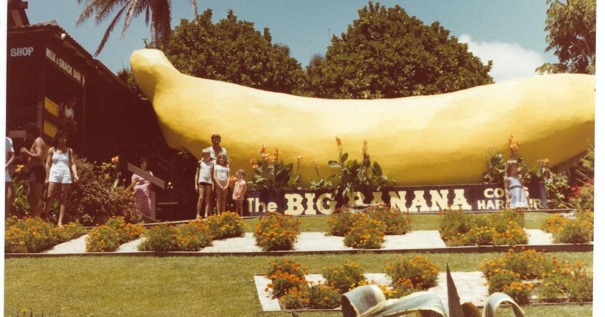 Big Banana Fun Park Background