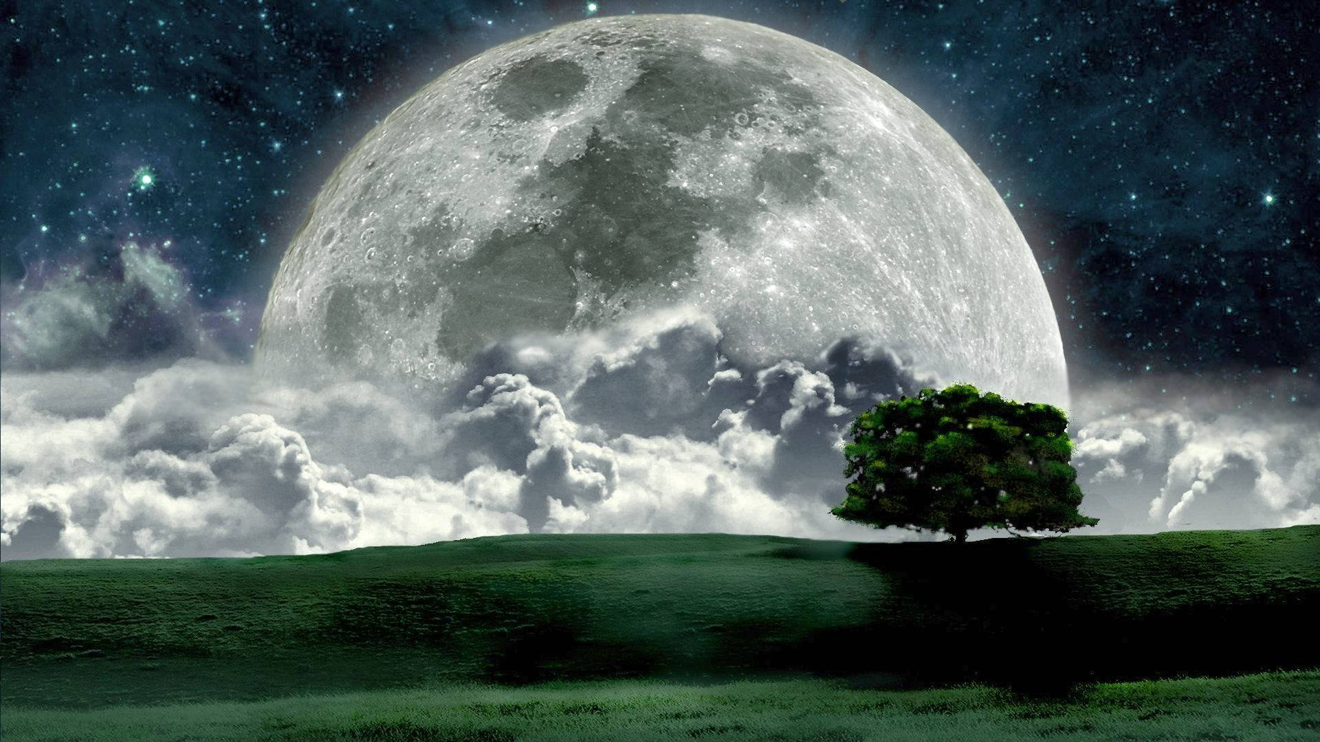 Big Beautiful Full Moon And Field Background