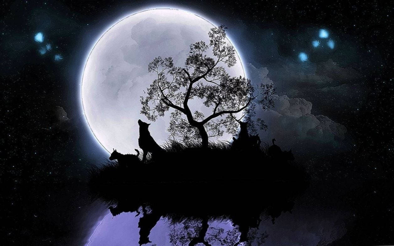 Big Beautiful Moon With A Howling Wolf Background