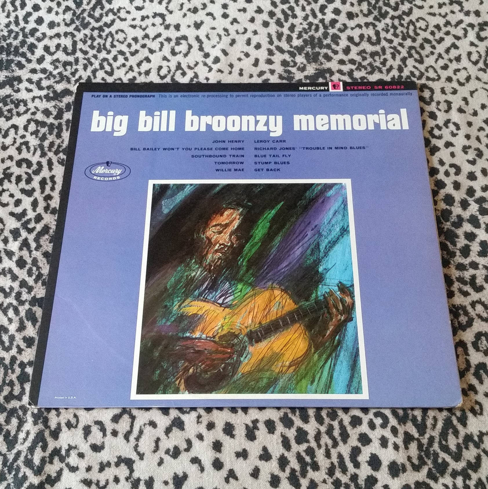 Big Bill Broonzy Memorial Vinyl Background