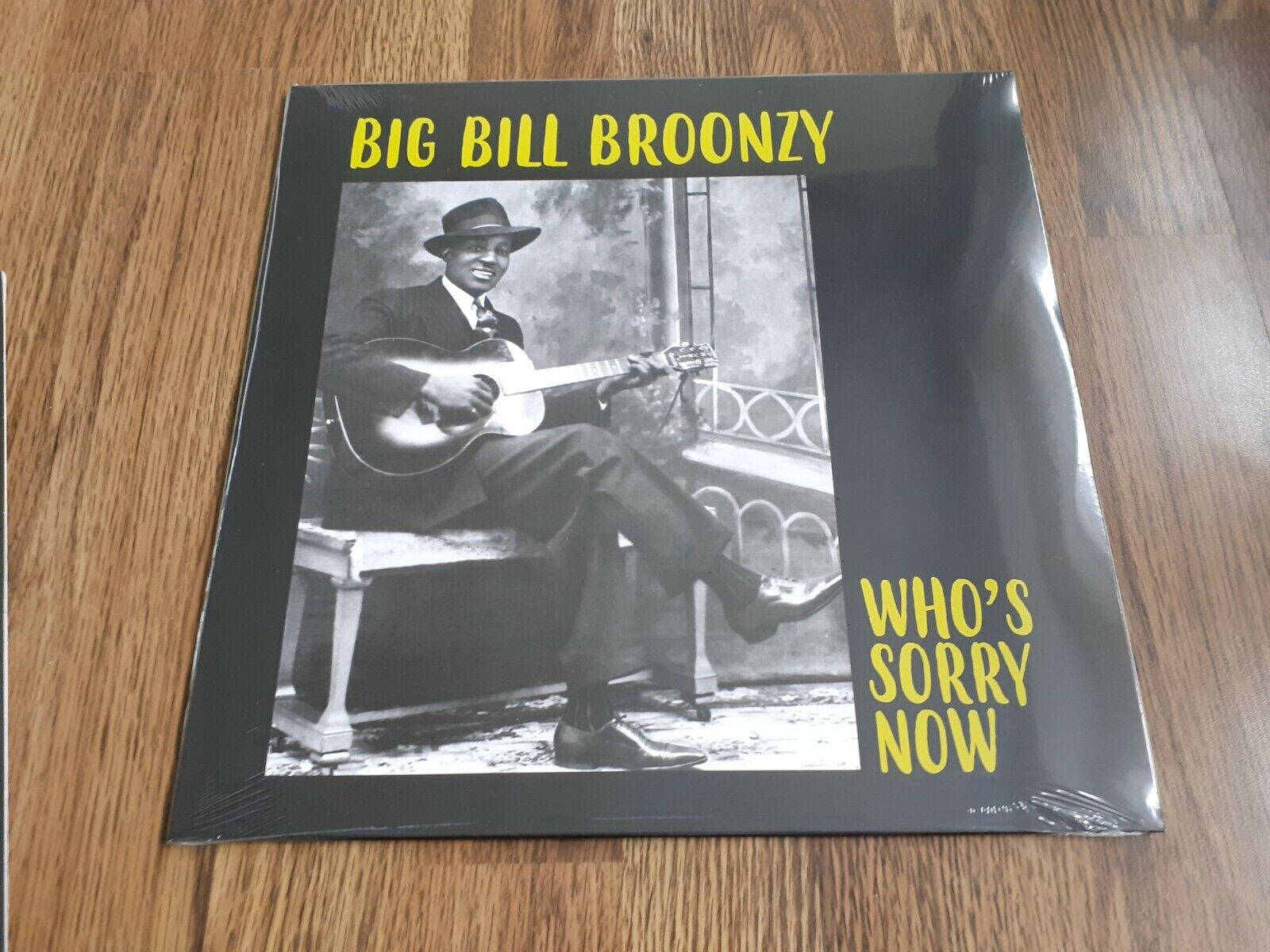 Big Bill Broonzy Who's Sorry Now Background