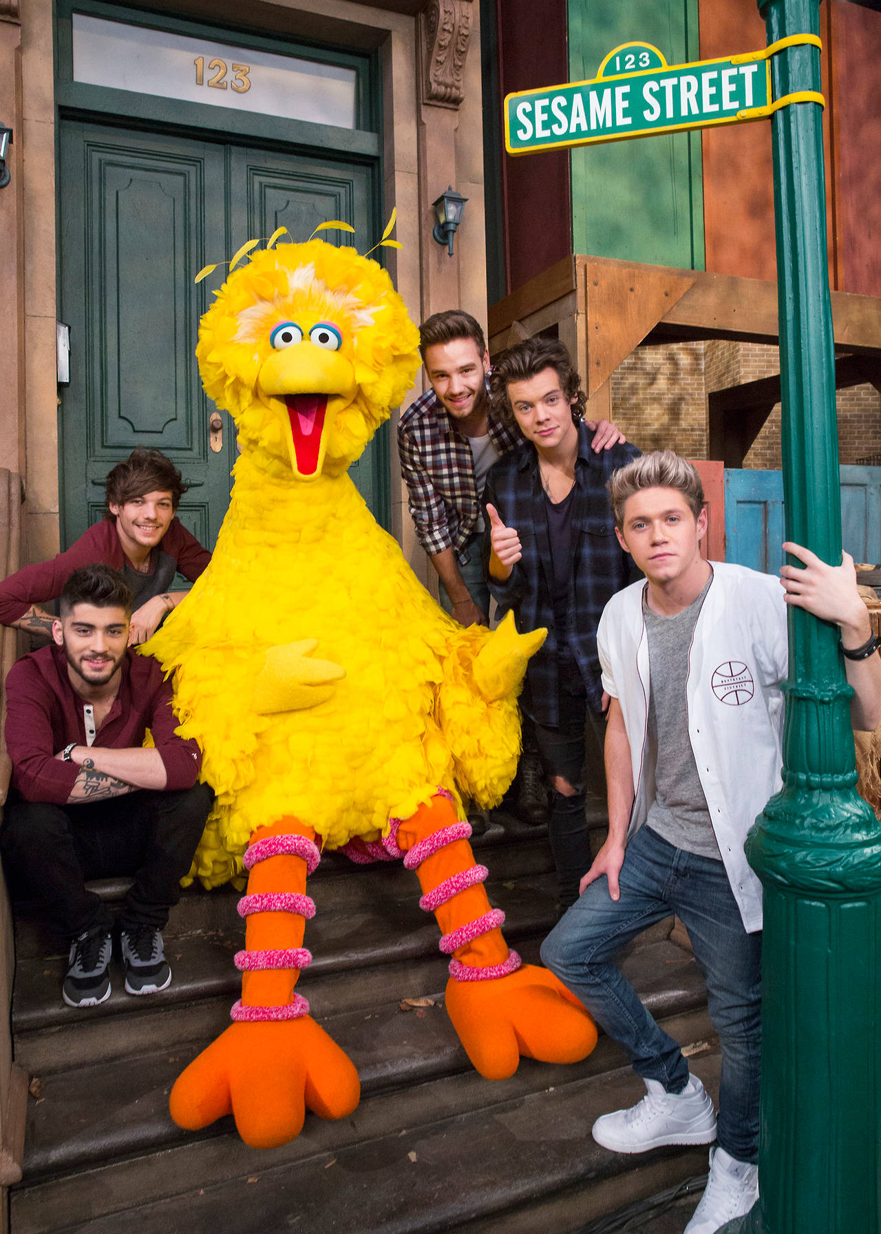 Big Bird And One Direction Background