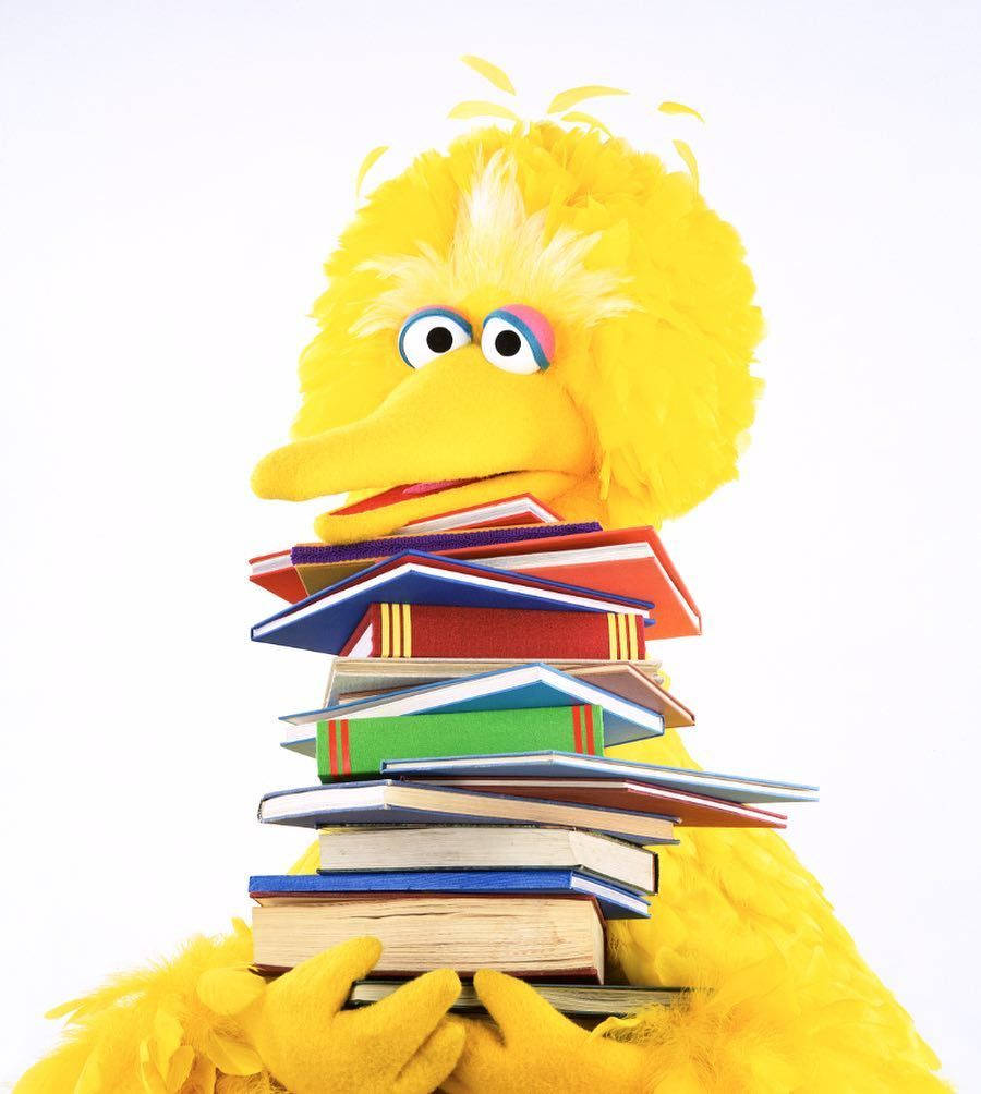 Big Bird Holding Books Background