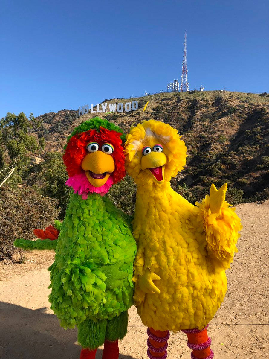 Big Bird In Hollywood Background
