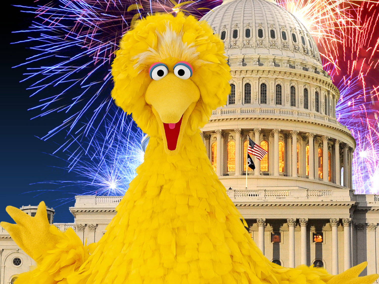 Big Bird White House Fireworks Background