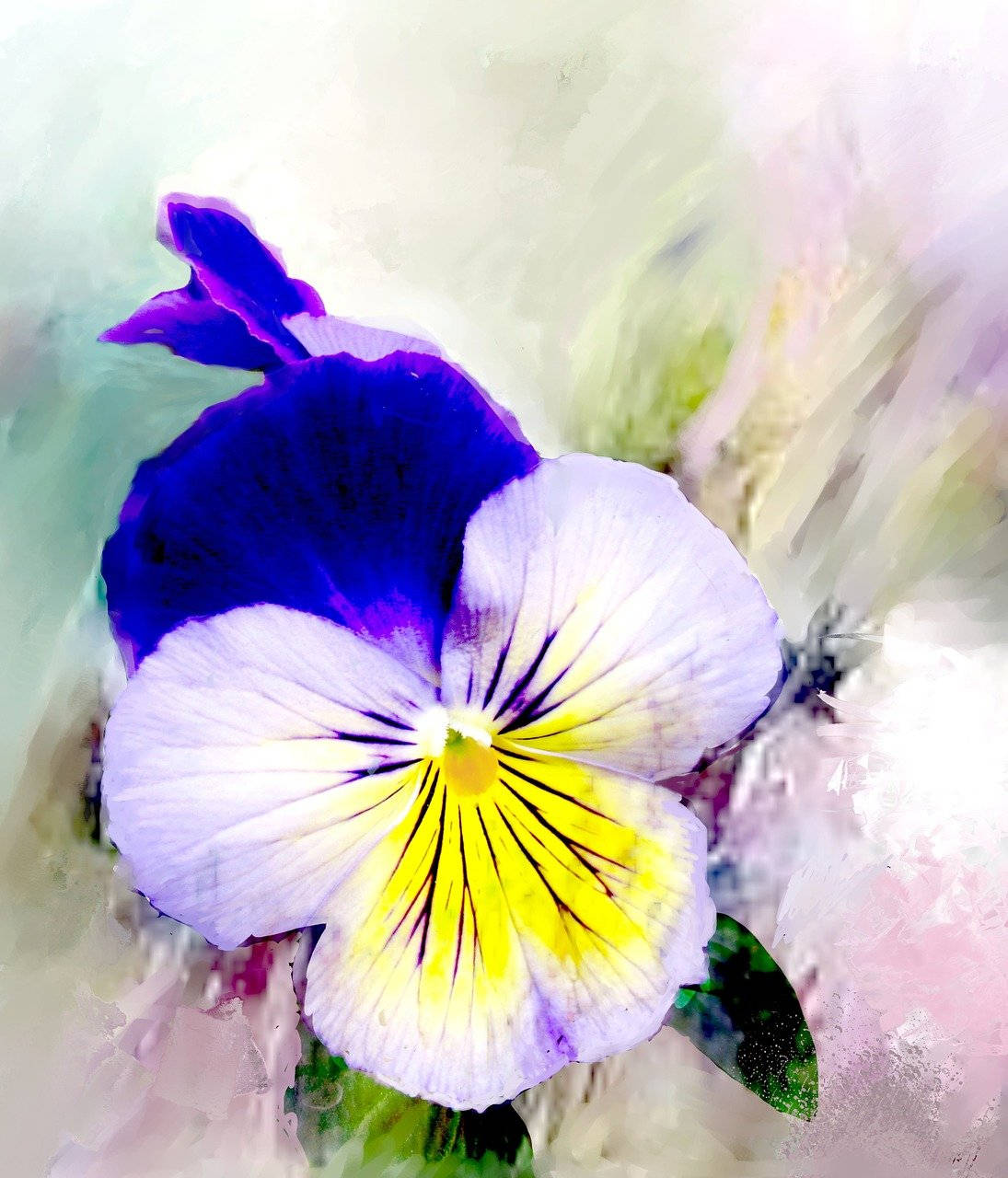 Big Blooming Pansy Digital Art