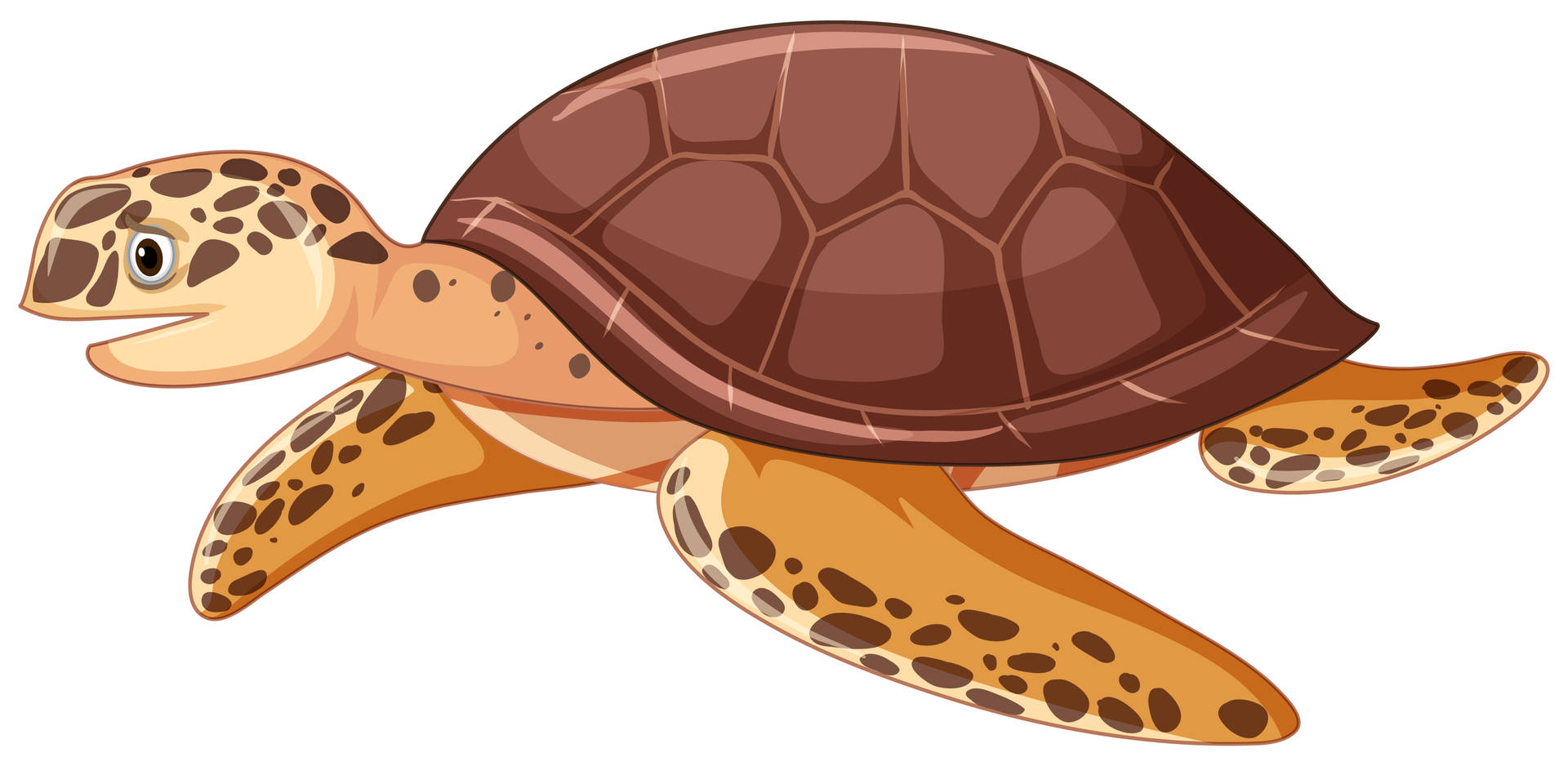 Big Brown Cartoon Turtle Background