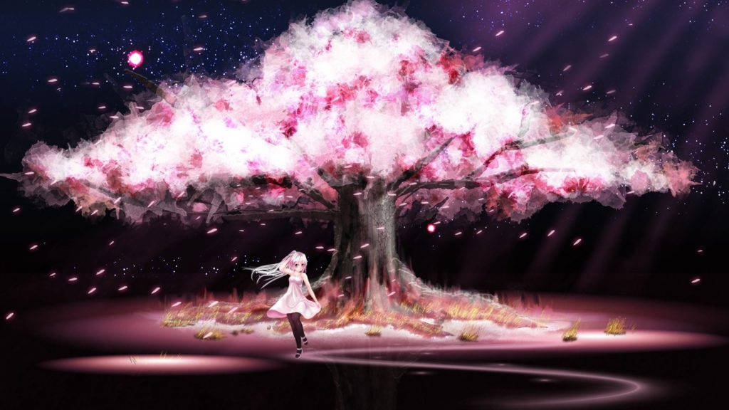Big Cherry Blossom Tree Anime Pc