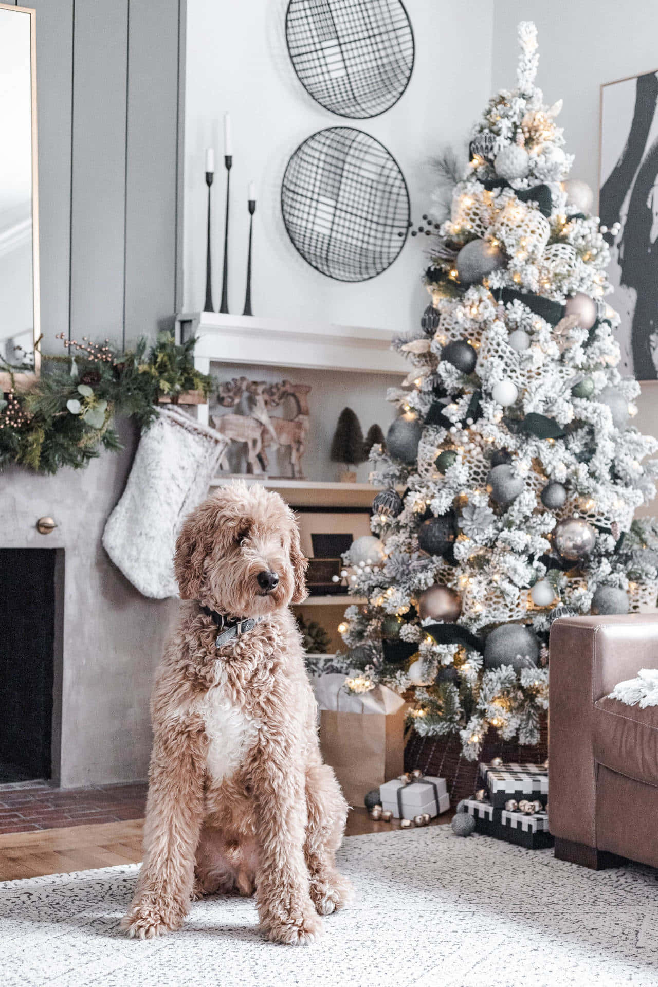 Big Christmas Dog With Tree Background