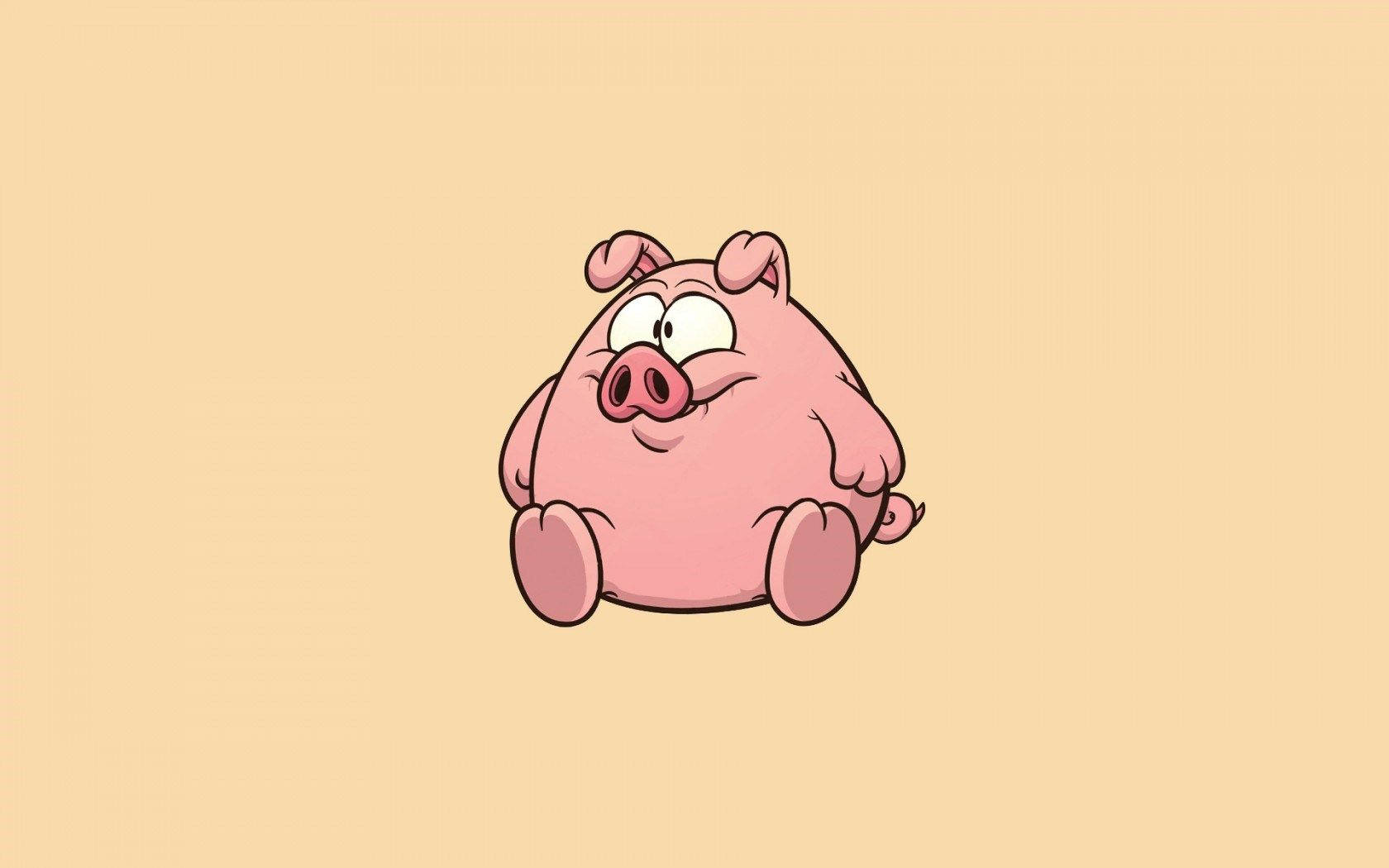 Big Fat Cartoon Pig Kawaii Ipad
