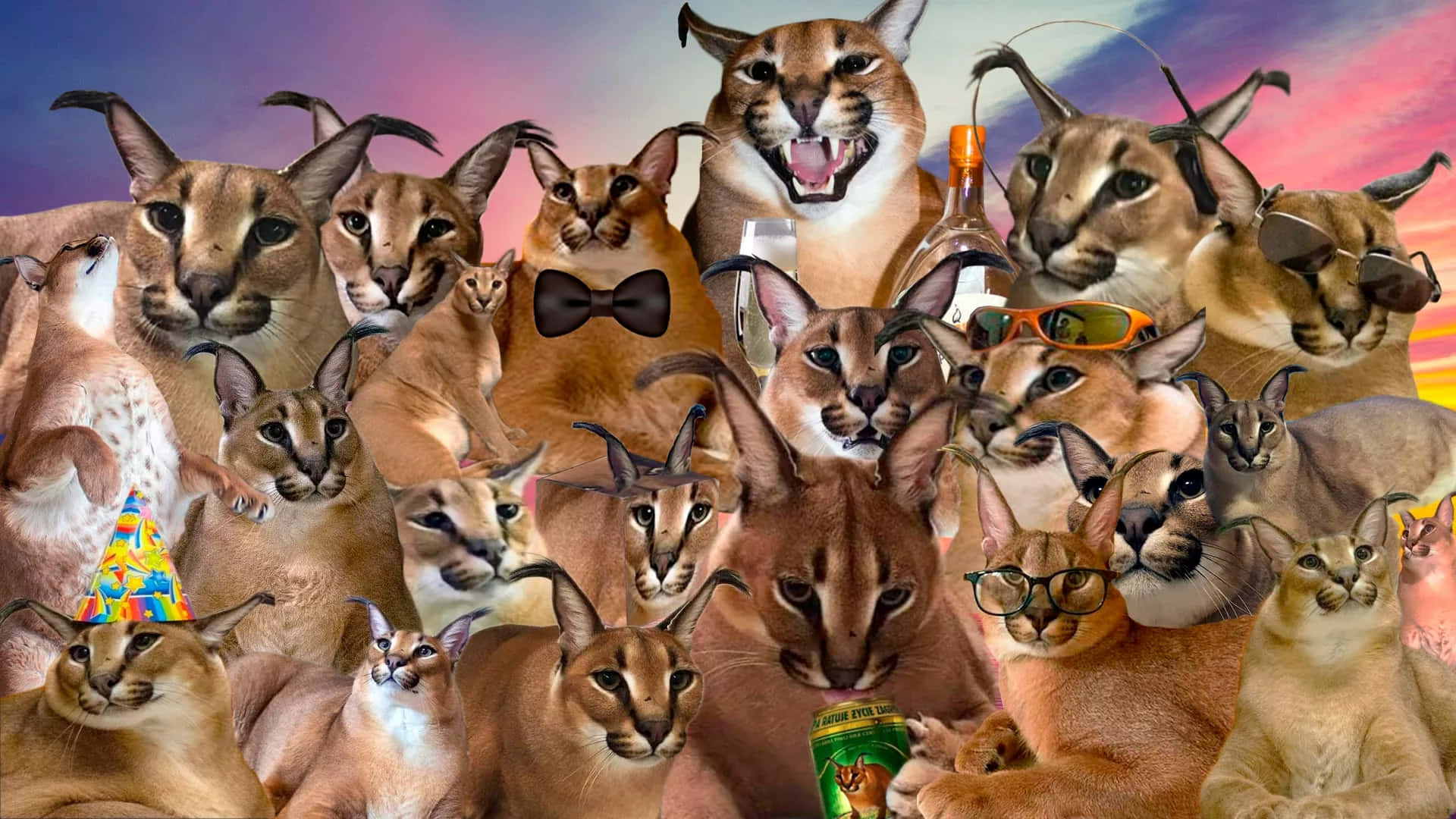 Big Floppa Caracal Party Collage.jpg Background