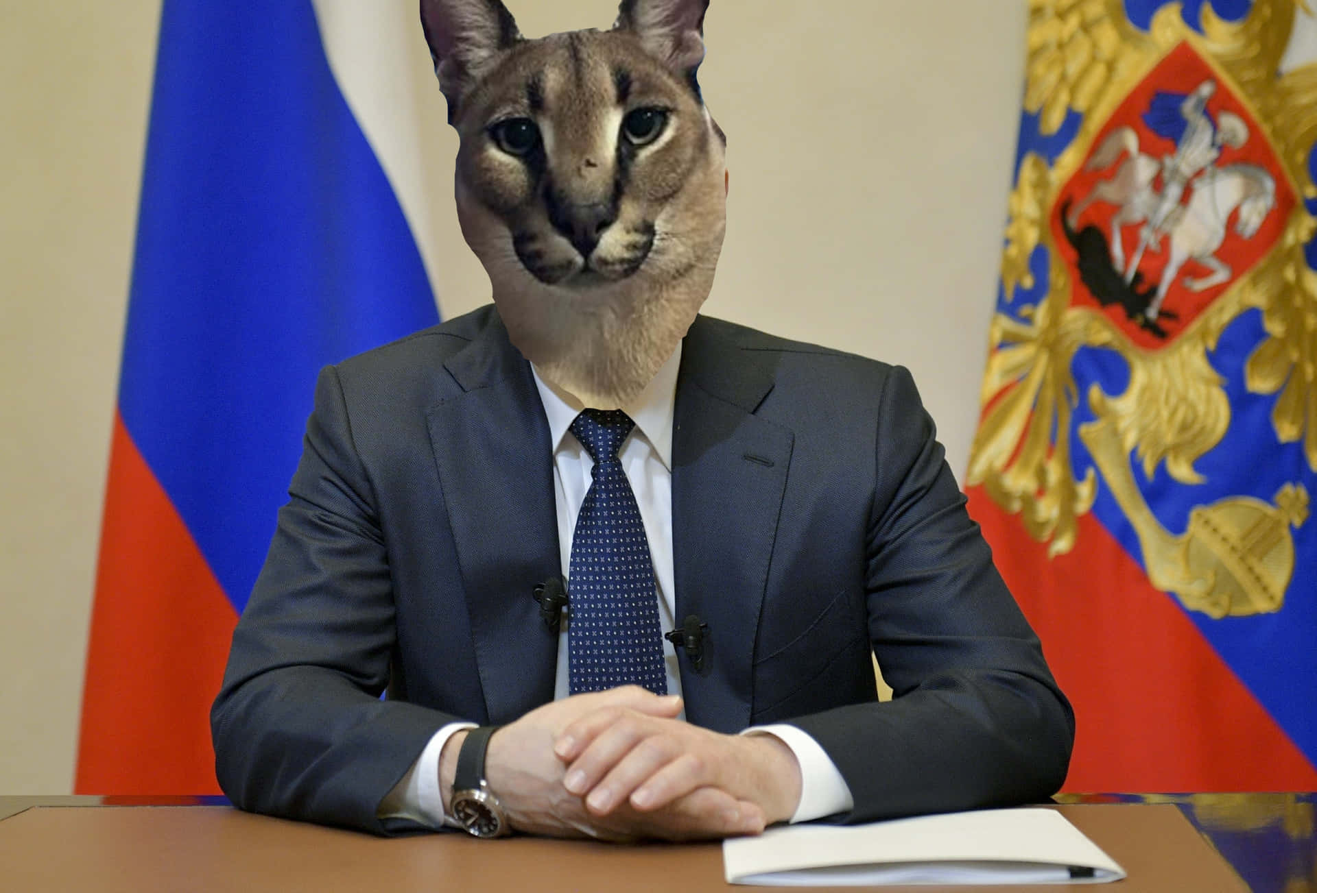 Big Floppa Diplomat Meeting Background