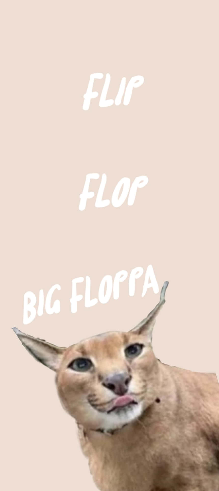 Big Floppa Meme Flip Flop Background