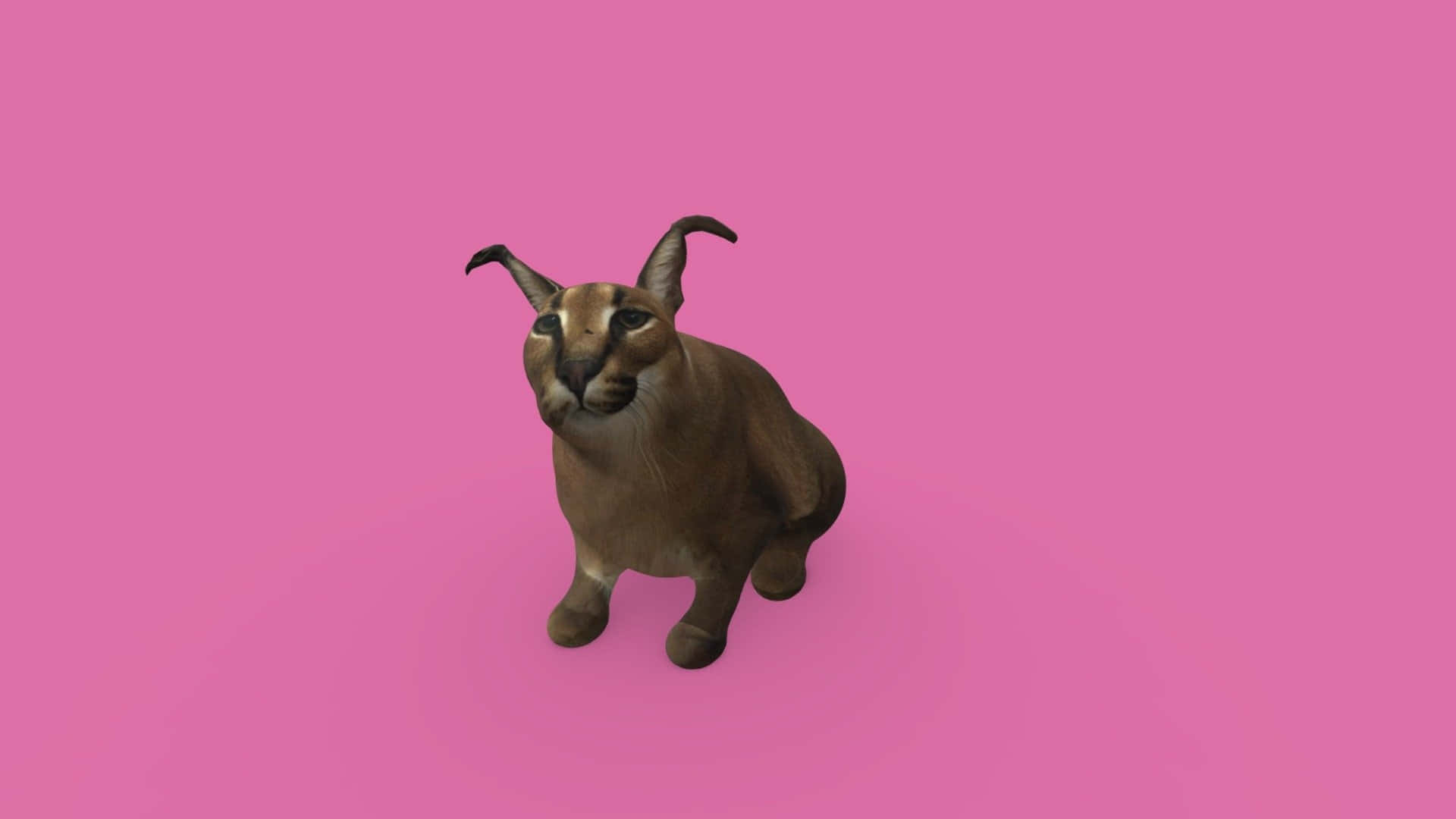 Big Floppa Meme Pink Background Background